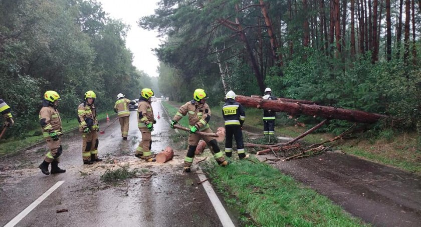 foto: OSP Gościno, OSP Stary Borek, OSP Siemyśl, OSP Ustronie Morskie, OSP Dygowo. OSP Rymań, OSP Charzyno