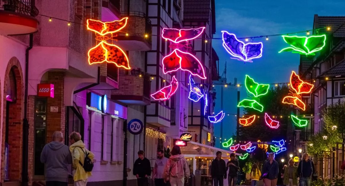 Wiadomości, porcie chcą motylki - zdjęcie, fotografia