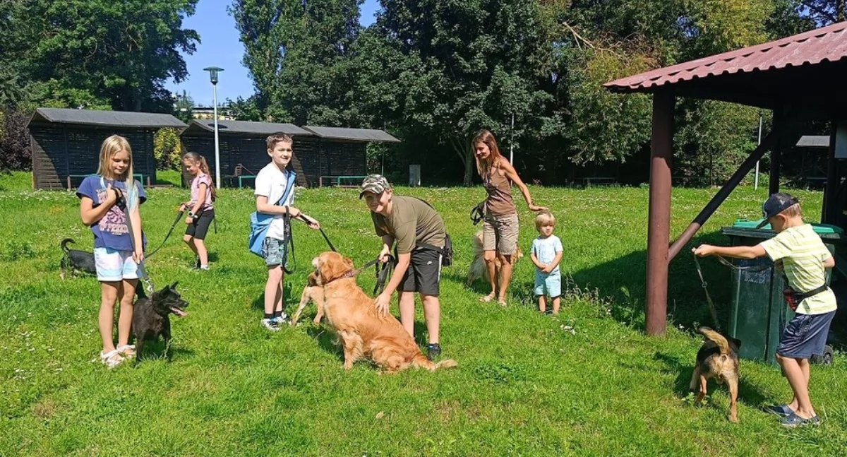Aktualności, serca przytul Gminie Kołobrzeg - zdjęcie, fotografia