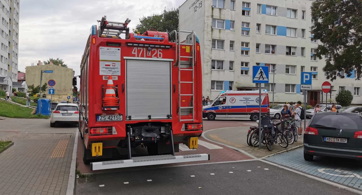 Wiadomości, Chciała uciec przed osami skończyło urazem głowy Interwencja strażaków centrum miasta - zdjęcie, fotografia