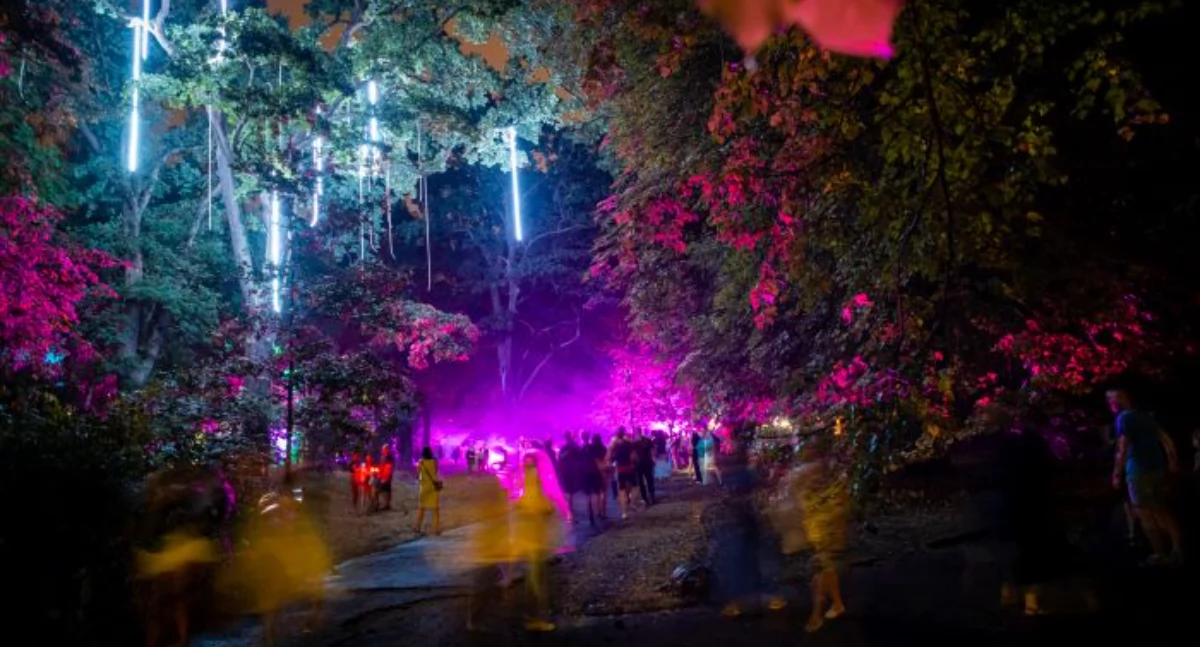 Wiadomości, Kolorów Iluminacje muzyka kompozycje artystyczne - zdjęcie, fotografia