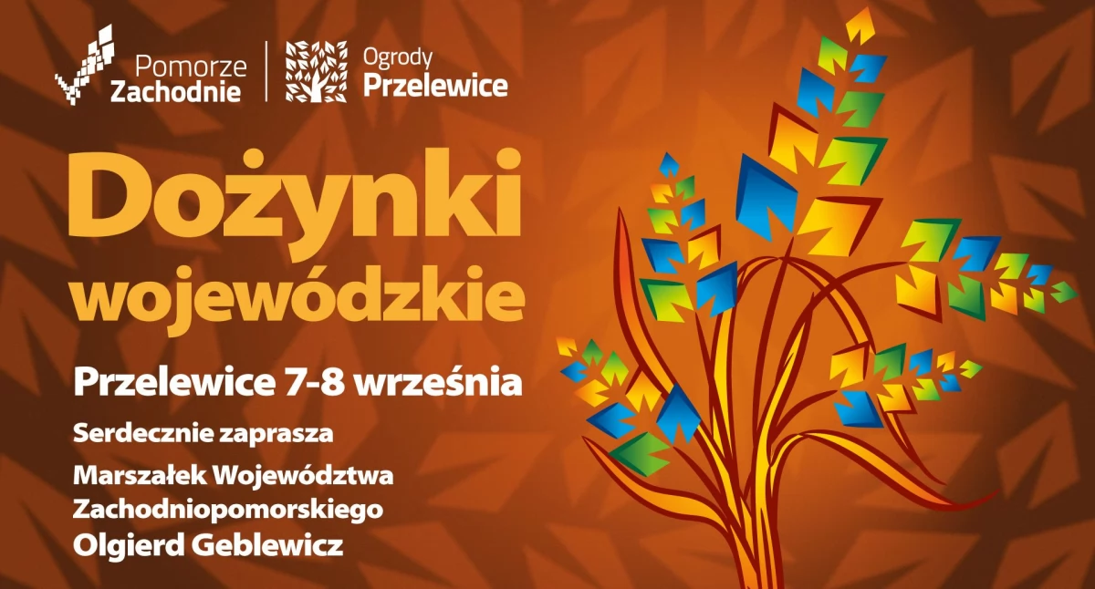 Wiadomości, Dożynki wojewódzkie - zdjęcie, fotografia