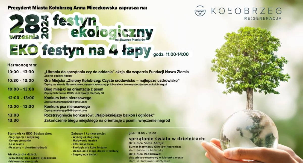 Wiadomości, Ekologicznie Skwerze Pionierów Cebulki kwiatów zamian karmę kotów psów - zdjęcie, fotografia