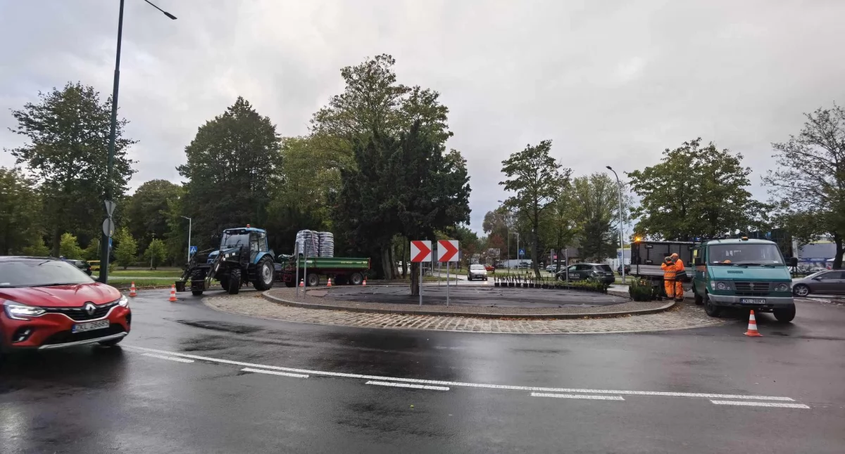 Inwestycje, nowym rondzie trwają specjalne nasadzenia chwilę będzie gotowe - zdjęcie, fotografia