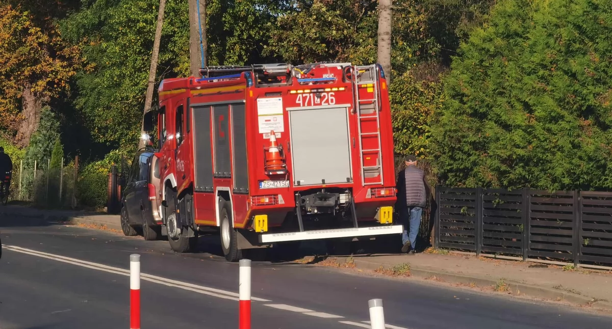 Straż Pożarna, Najpierw cięli potem trzymali drzewo żeby spadło Pomogli strażacy - zdjęcie, fotografia