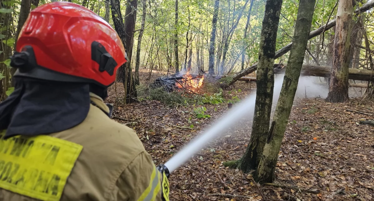 Straż Pożarna, Ogromny pożar Strażacy ćwiczyli gotowość bojową - zdjęcie, fotografia