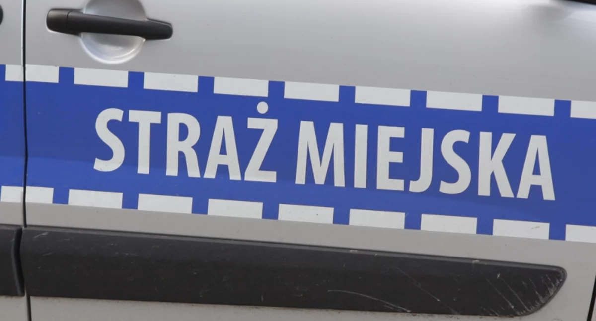 Straż Miejska, Rusza nabór kandydatów straży miejskiej - zdjęcie, fotografia