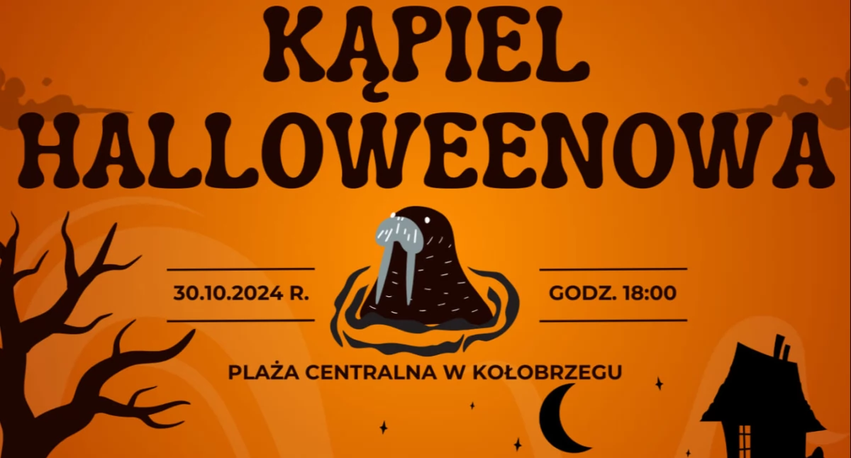 Wiadomości, Halloween kołobrzeskim morsami - zdjęcie, fotografia