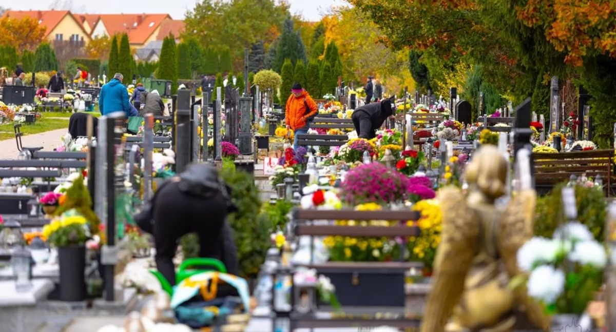 Wiadomości, Przygotowania Wszystkich Świętych zdjęcia - zdjęcie, fotografia