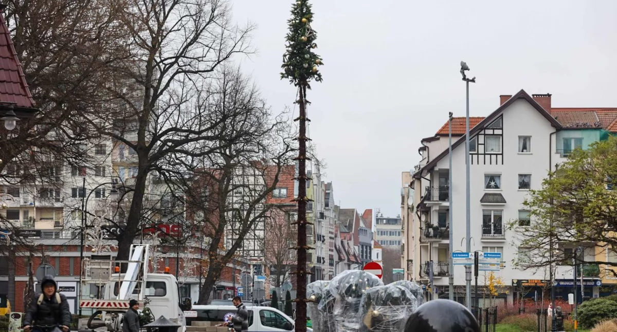 Wiadomości, składanie choinki drzewko stanie trochę innym miejsc zazwyczaj (foto) - zdjęcie, fotografia