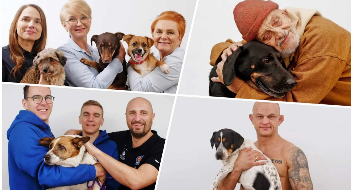 Wiadomości, Wyjątkowa sesja fotograficzna pieskami Otwórz serce adoptuj przyjaciela! - zdjęcie, fotografia