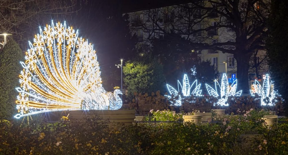 Wiadomości, Świąteczne iluminacje Kołobrzegu (fotogaleria) - zdjęcie, fotografia