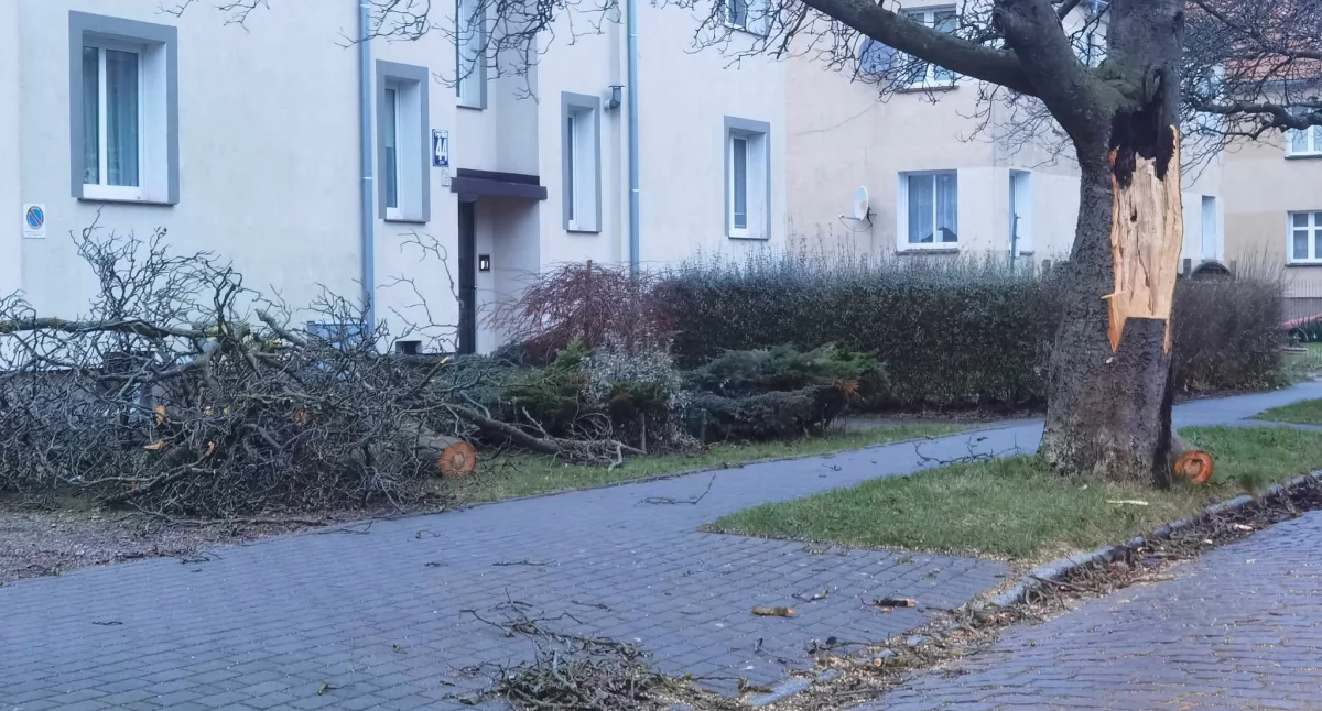 Wiadomości, Uwaga silny wiatr prognozy - zdjęcie, fotografia