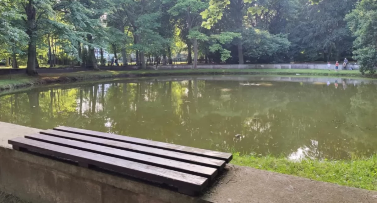 Wiadomości, Miała nowoczesna fontanna zamiast stawu Parku Szarmacha będzie inaczej - zdjęcie, fotografia
