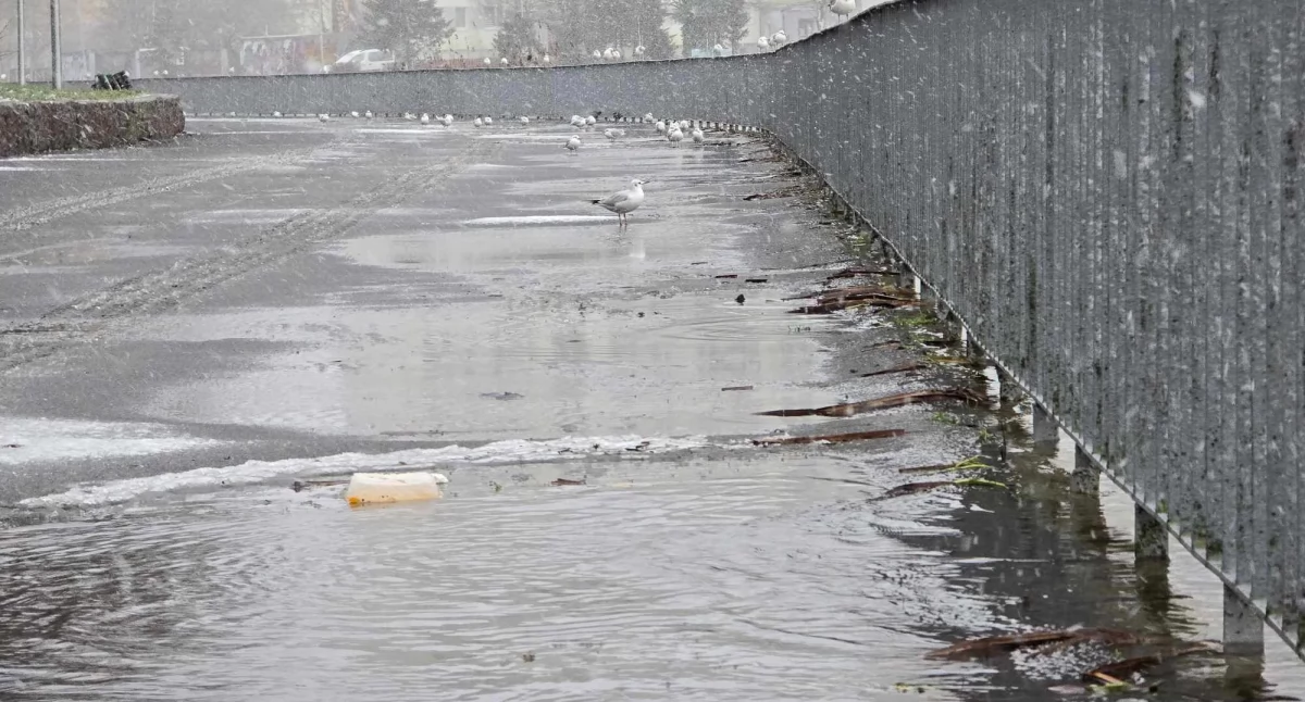 Wiadomości, wylewa bulwary Cofka Kołobrzegu - zdjęcie, fotografia
