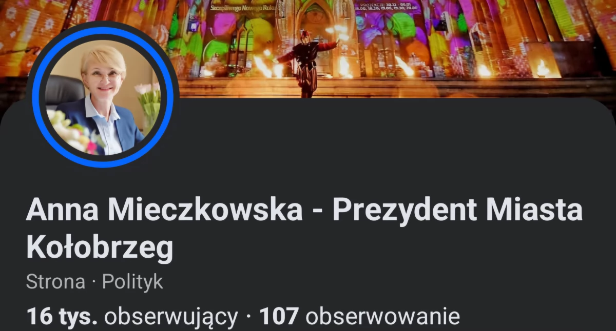 Wiadomości, Ranking popularności prezydentów Wysokie miejsce Mieczkowskiej - zdjęcie, fotografia