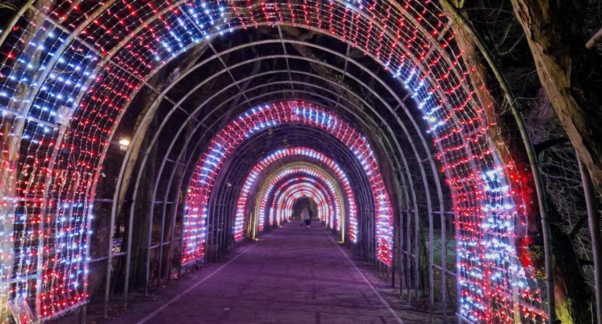 Wiadomości, atrakcja Iluminacja bindaża grabowego Kołobrzegu pozostanie dłużej - zdjęcie, fotografia