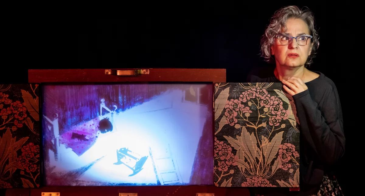 Teatr , Spektakl Lotta lecie powstania teatru Władca Lalek - zdjęcie, fotografia