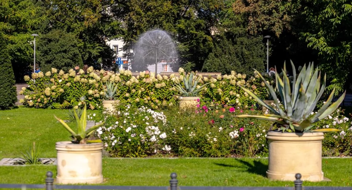 Wiadomości, Praca ogrodnika– nabór kwietnia - zdjęcie, fotografia