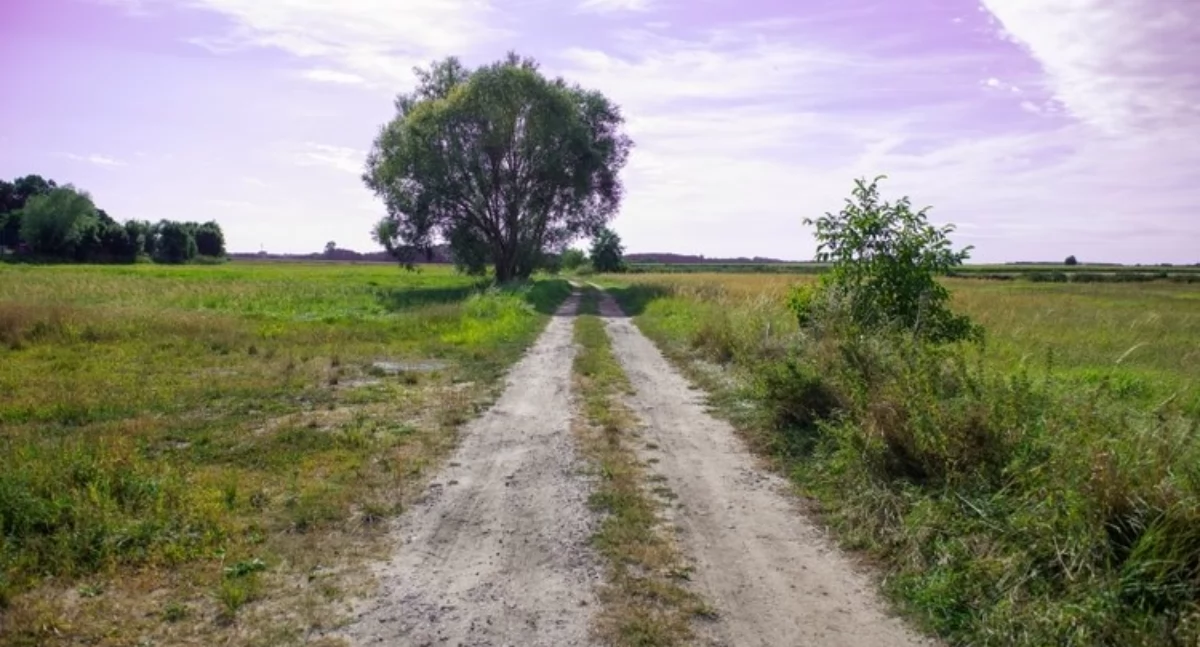 Wiadomości, Lepsze drogi dojazdowe gruntów rolnych regionie - zdjęcie, fotografia