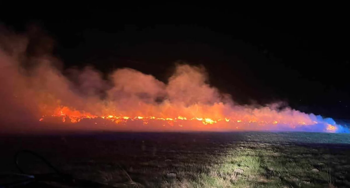 Straż Pożarna, Ogromny pożar Kołobrzegiem Strażacy całą walczyli ogniem - zdjęcie, fotografia