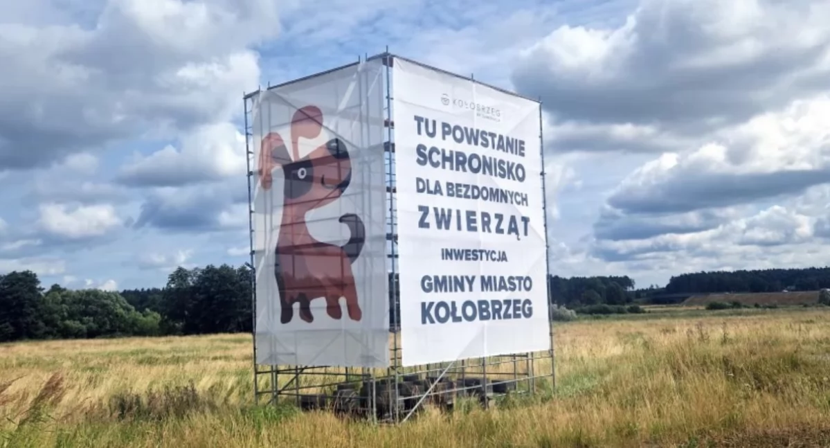 Wiadomości, Schronisko milionów oferty dwóch różnych światów - zdjęcie, fotografia