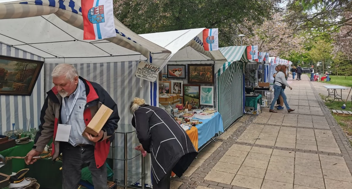Wiadomości, Rusza alejka kolekcjonerska będzie można kupić starocie antyki - zdjęcie, fotografia