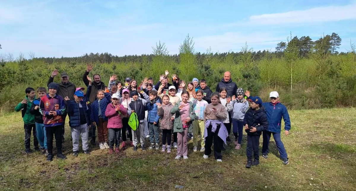 Wiadomości, drzew lecie szkoły Uczniowie Kołobrzegu sadzili jarzęby - zdjęcie, fotografia