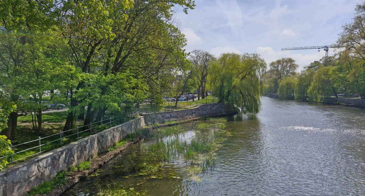 Wiadomości, Kołobrzeg modernizuje brzegi Parsęty ruszył przetarg Wykonawca inwestycję - zdjęcie, fotografia