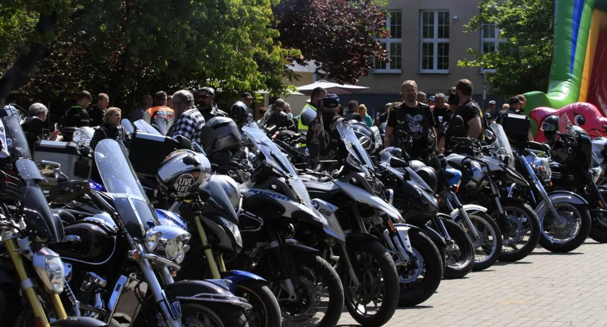 Wiadomości, Motososerce zabije ponownie Skwerze Pionierów - zdjęcie, fotografia