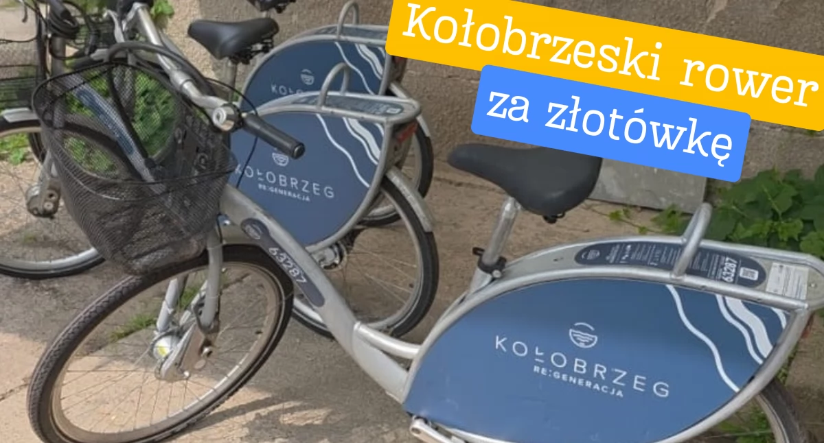 Wiadomości, Miasto rozdaje rowery złotówkę rowerów trafi mieszkańców - zdjęcie, fotografia