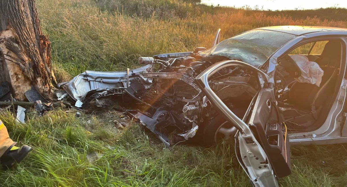 Wypadki drogowe, uderzyło drzewo Poważny wypadek trasie Korzystno–Stary Borek - zdjęcie, fotografia