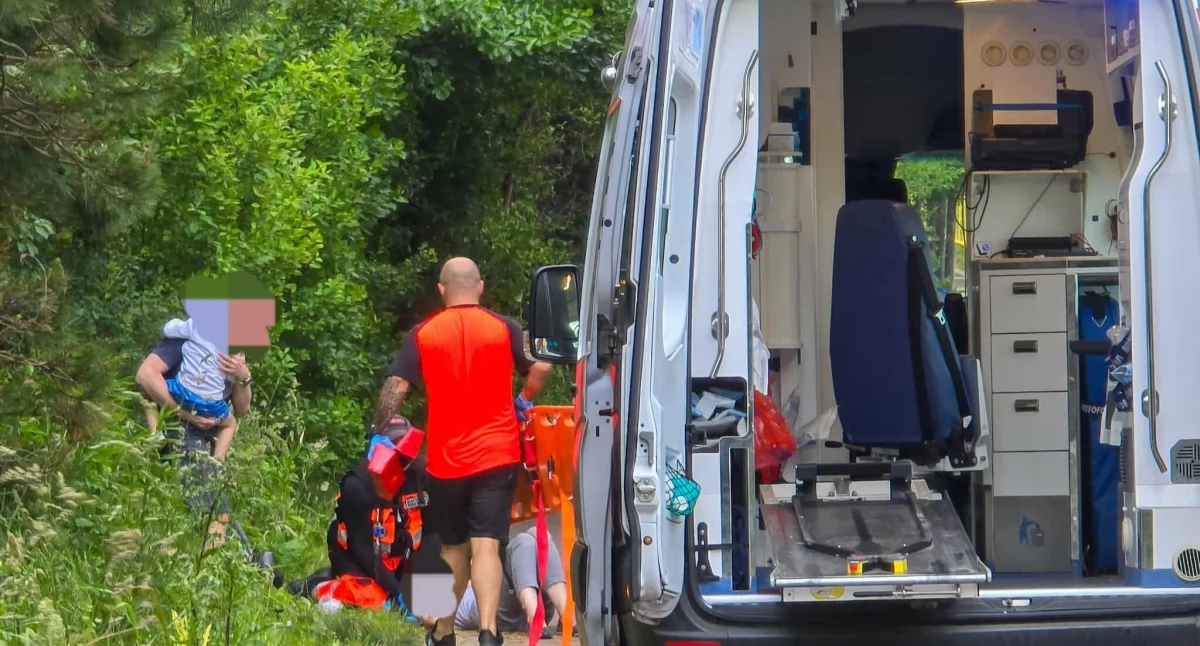 Wiadomości, Groźny wypadek ścieżce rowerowej Kobieta ranna uderzeniu przez konar - zdjęcie, fotografia