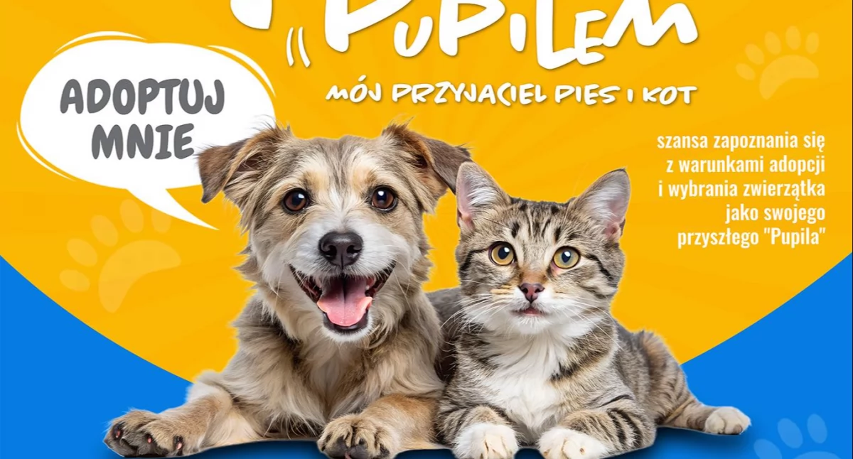 Wiadomości, Zbliża Weekend Pupilem Zapisy udział wydarzeniu tylko lipca - zdjęcie, fotografia