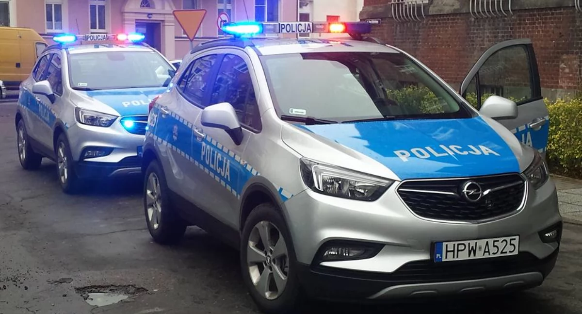 Wiadomości, Mundurowe atrakcje Święto Policji festyn rodzinny - zdjęcie, fotografia