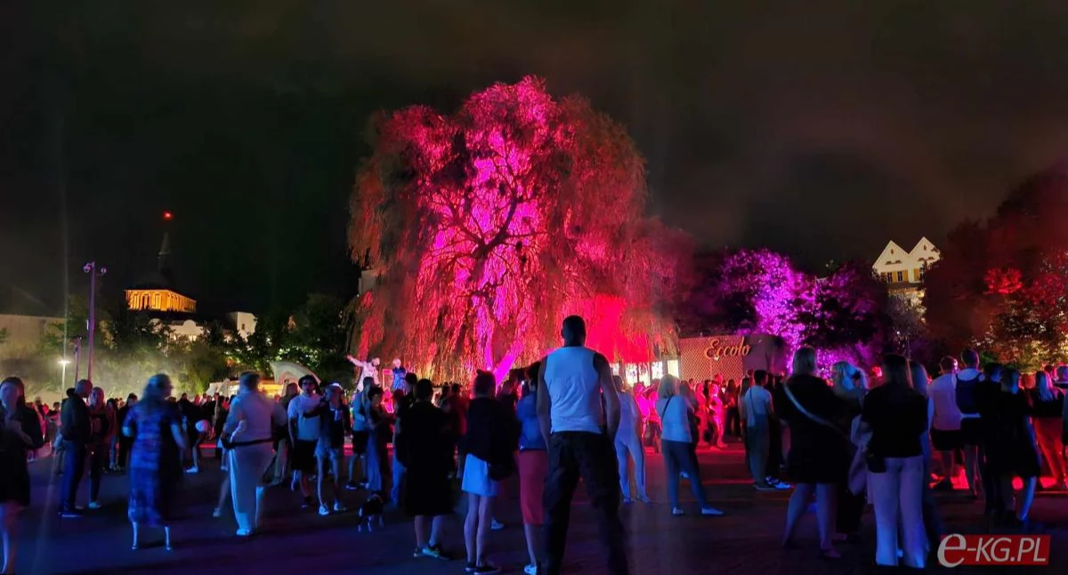 Wiadomości, Bajkowe iluminacje muzyka żywo Kolorów centrum miasta - zdjęcie, fotografia