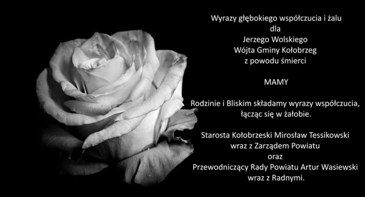 Wiadomości, Wyrazy głębokiego wspófczucia żalu - zdjęcie, fotografia