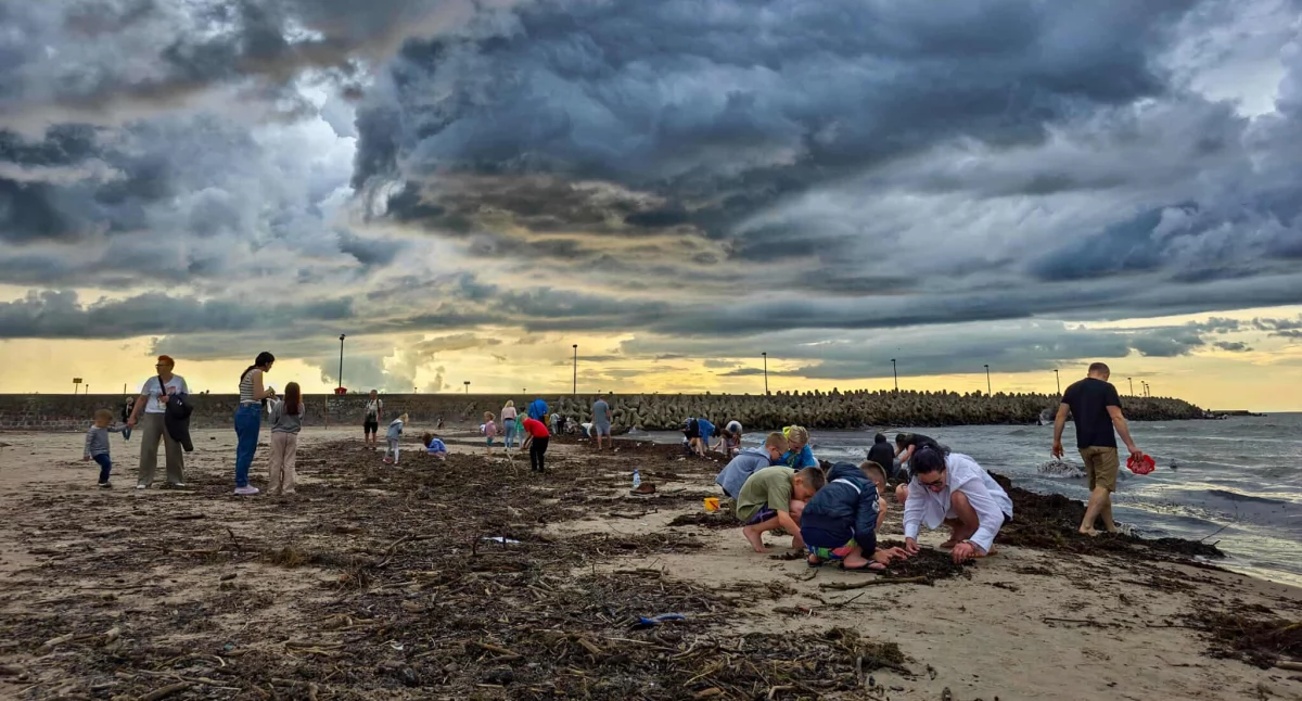 Wiadomości, słońca Bursztynowe łowy sztormie [zdjęcia] - zdjęcie, fotografia