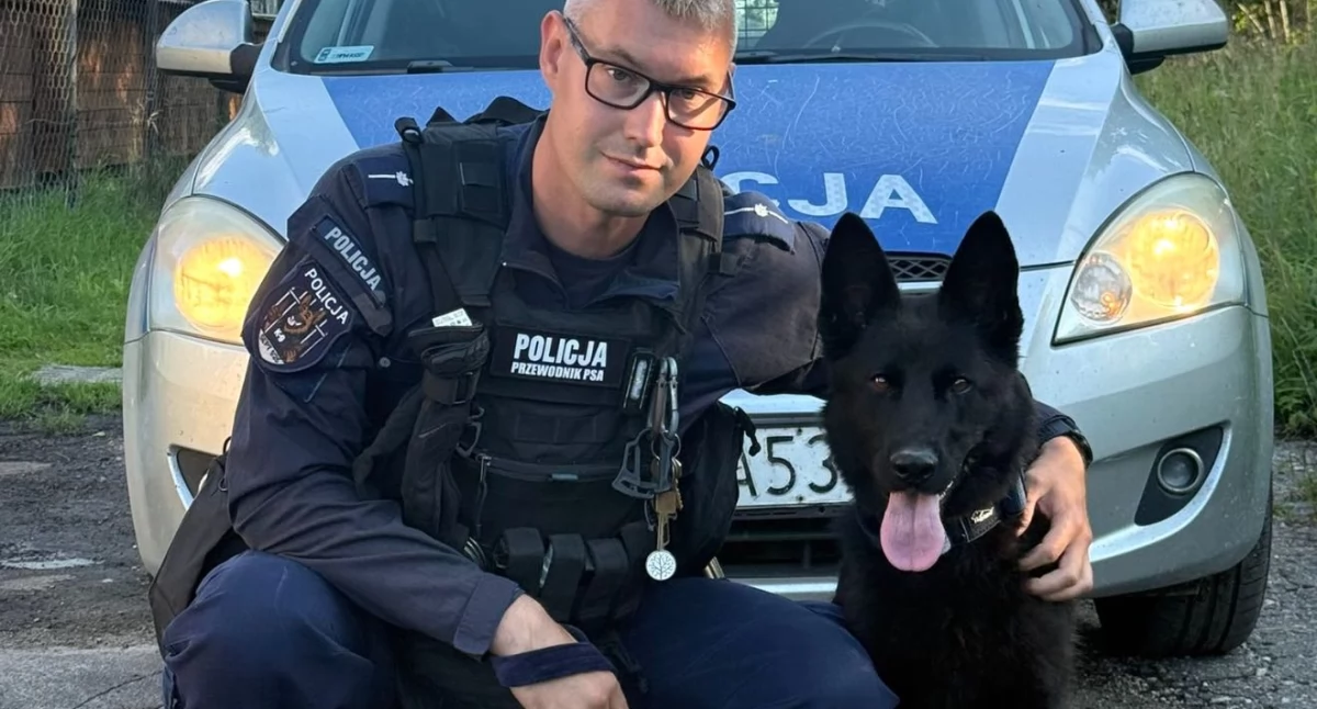 Kronika policyjna, funkcjonariuszka szeregach policji Wyszkolona zakresie tropienia działań patrolowych - zdjęcie, fotografia