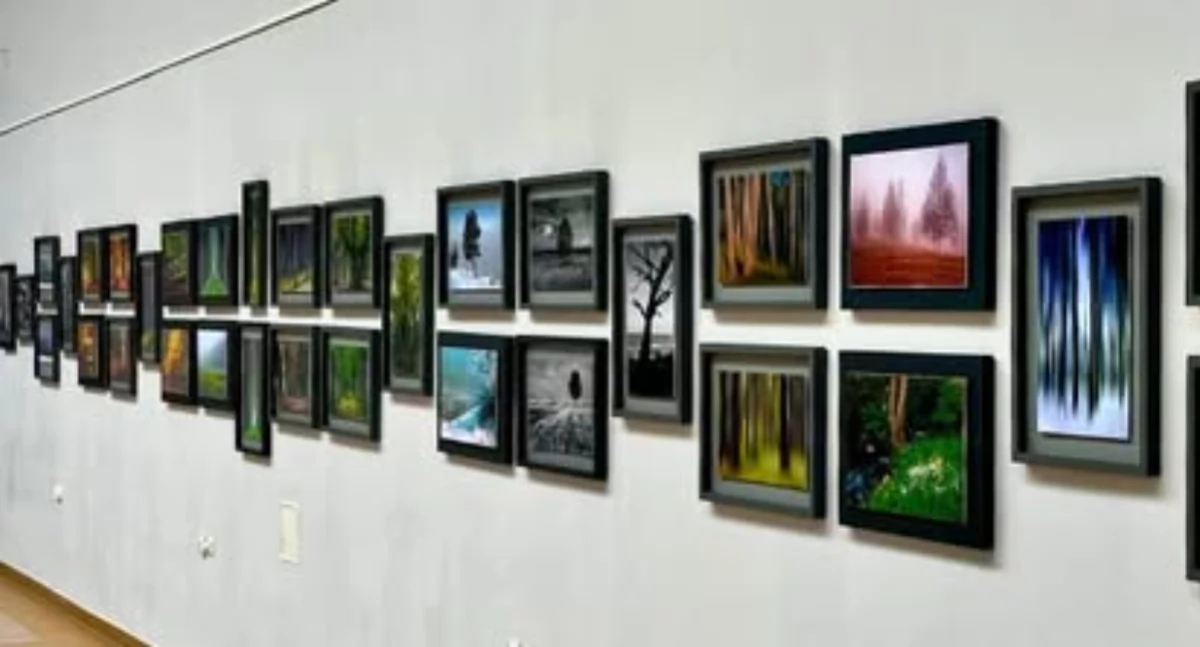 Wystawy, wystawa Kołobrzeg Swoje prace zaprezentuje Witold Kucaj - zdjęcie, fotografia