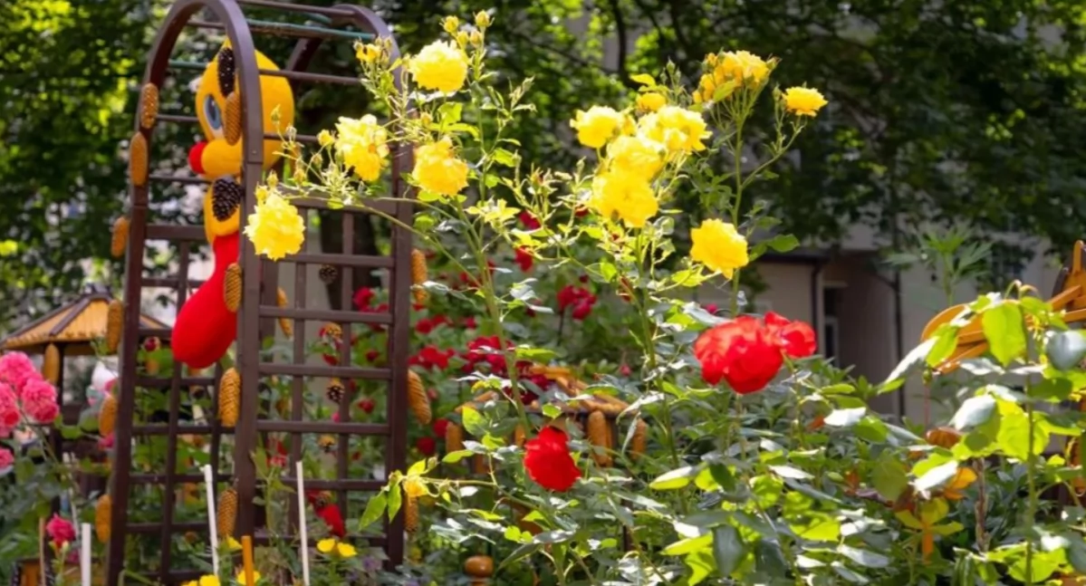 Wiadomości, Najpiękniejszy balkon przydomowy ogródek mieście Rusza kolejna edycja konkursu - zdjęcie, fotografia