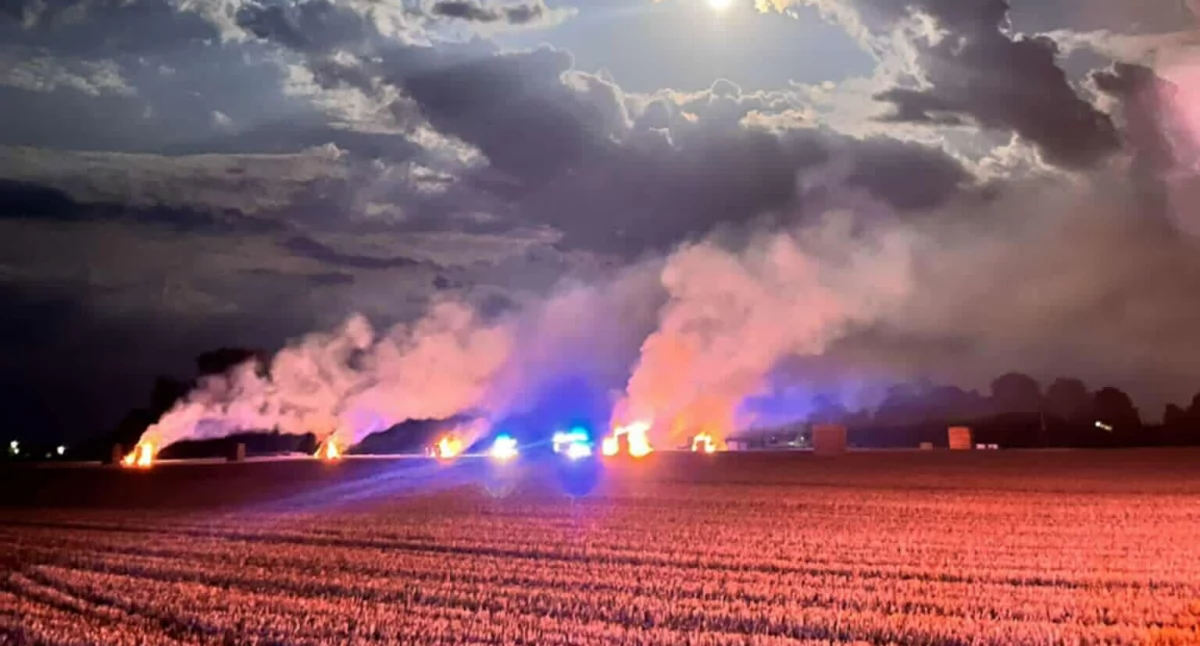 Straż Pożarna, Pożar Gościnem Mogło dojść podpalenia - zdjęcie, fotografia
