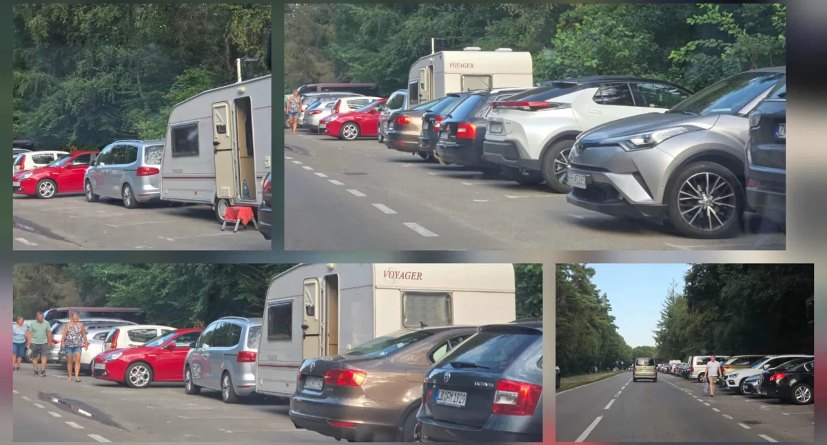 Wiadomości, Jakby jutra miało parkują wakacyjni janusze - zdjęcie, fotografia