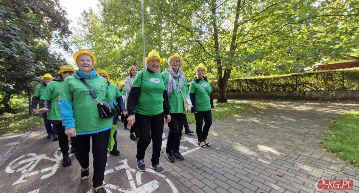 Wiadomości, Senioralia Kołobrzeskie Seniora - zdjęcie, fotografia