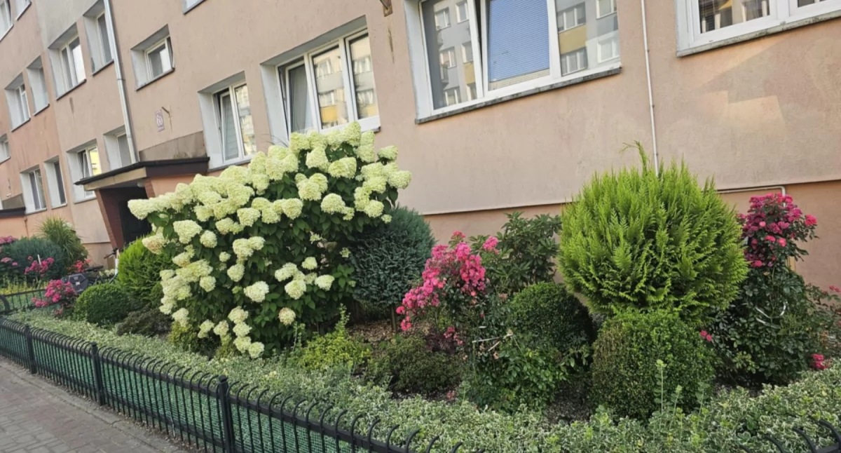 Wiadomości, mają najładniejsze ogródki balkony mieście - zdjęcie, fotografia