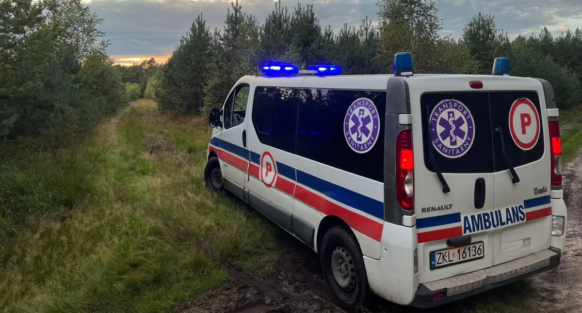 Wiadomości, Grzybobranie zakończone akcją ratunkową Senior zgubił lesie uratowała jedna rzecz - zdjęcie, fotografia