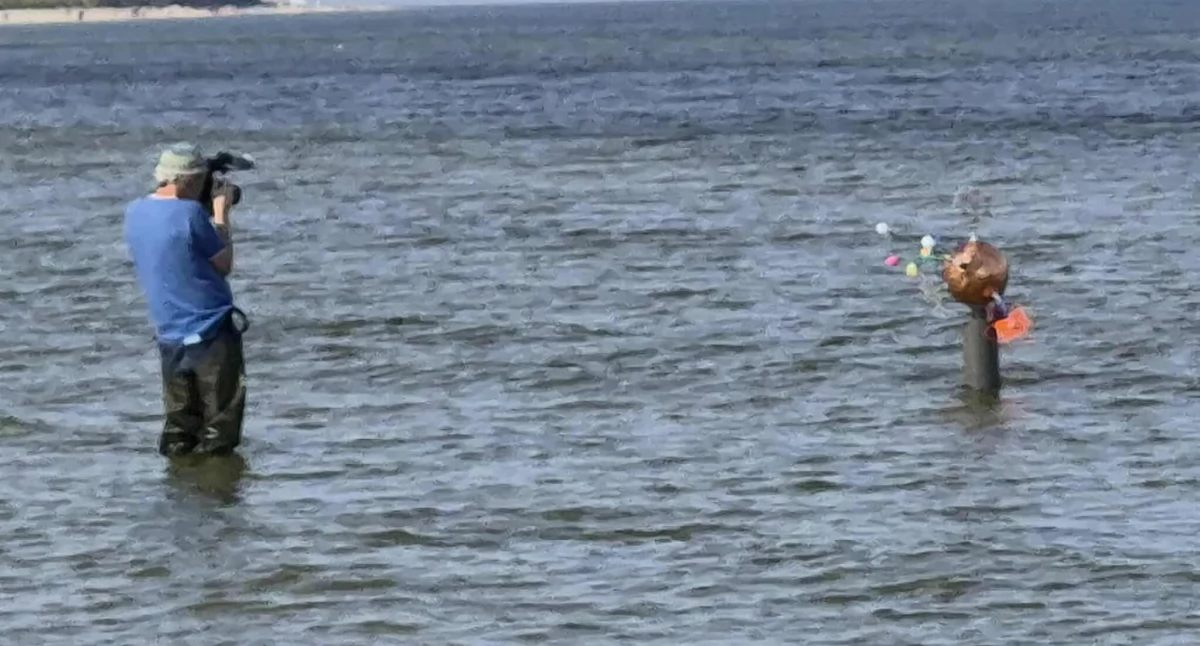 Wiadomości, Instalacja grafika Niemiec jedną atrakcji plaży Grzybowie było - zdjęcie, fotografia