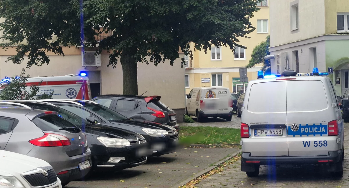 Wiadomości, Dwuletnie dziecko wypadło Policja wyjaśnia wydarzyło Dworcowej - zdjęcie, fotografia