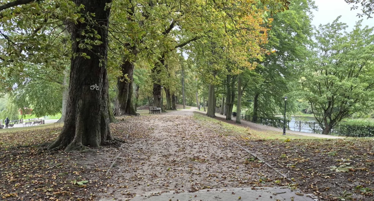 Wiadomości, zmian Parku Dąbrowskiego kolejną modernizację alejek - zdjęcie, fotografia