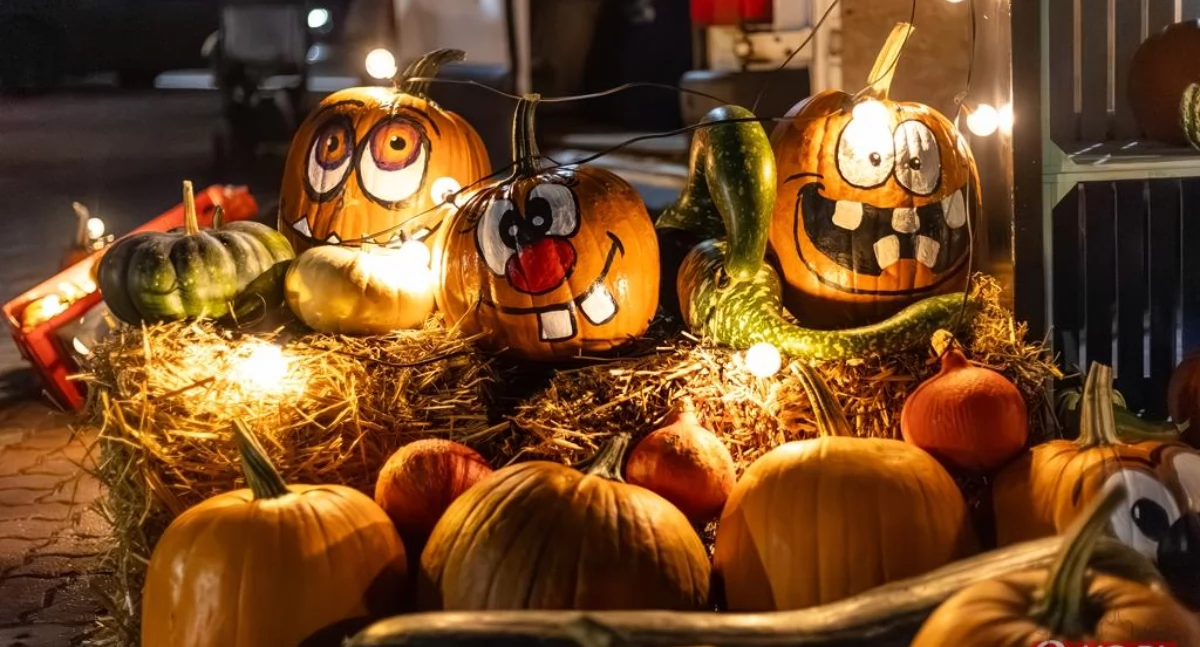 Wiadomości, Halloween Night Market Zakupy dynie foodtrucki - zdjęcie, fotografia